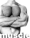 muscle