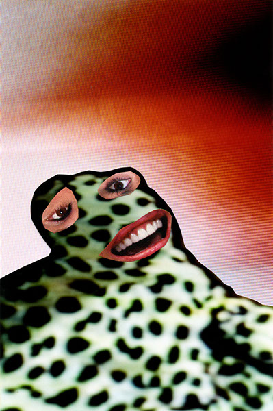 screamingforvengence