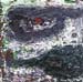 l_5c18cc92653fe46a4f#238280